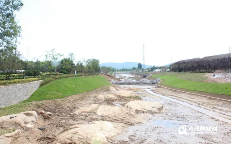 即墨新添一天然氧吧大任河美丽河道绿两岸