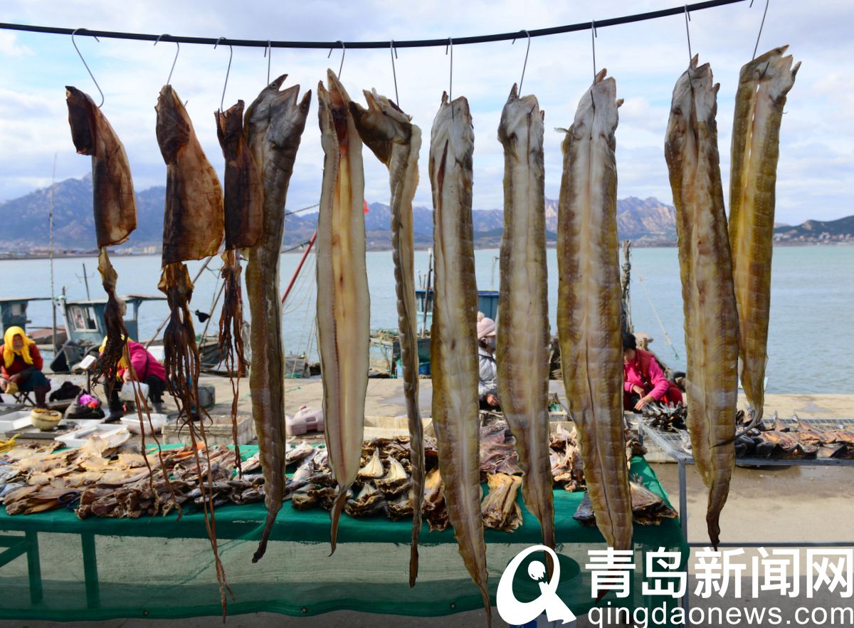 码头上各种海鱼晒起来那是青岛人冬天餐桌上的美味佳肴