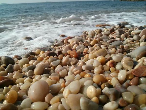 这处海边的石头不让捡了,违者最高罚两万!