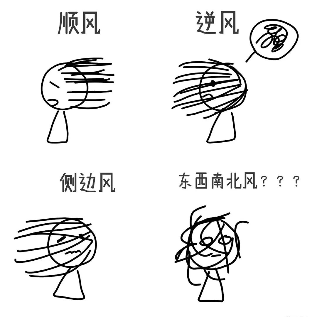 阵风10级2青岛大风把冬天吹来了