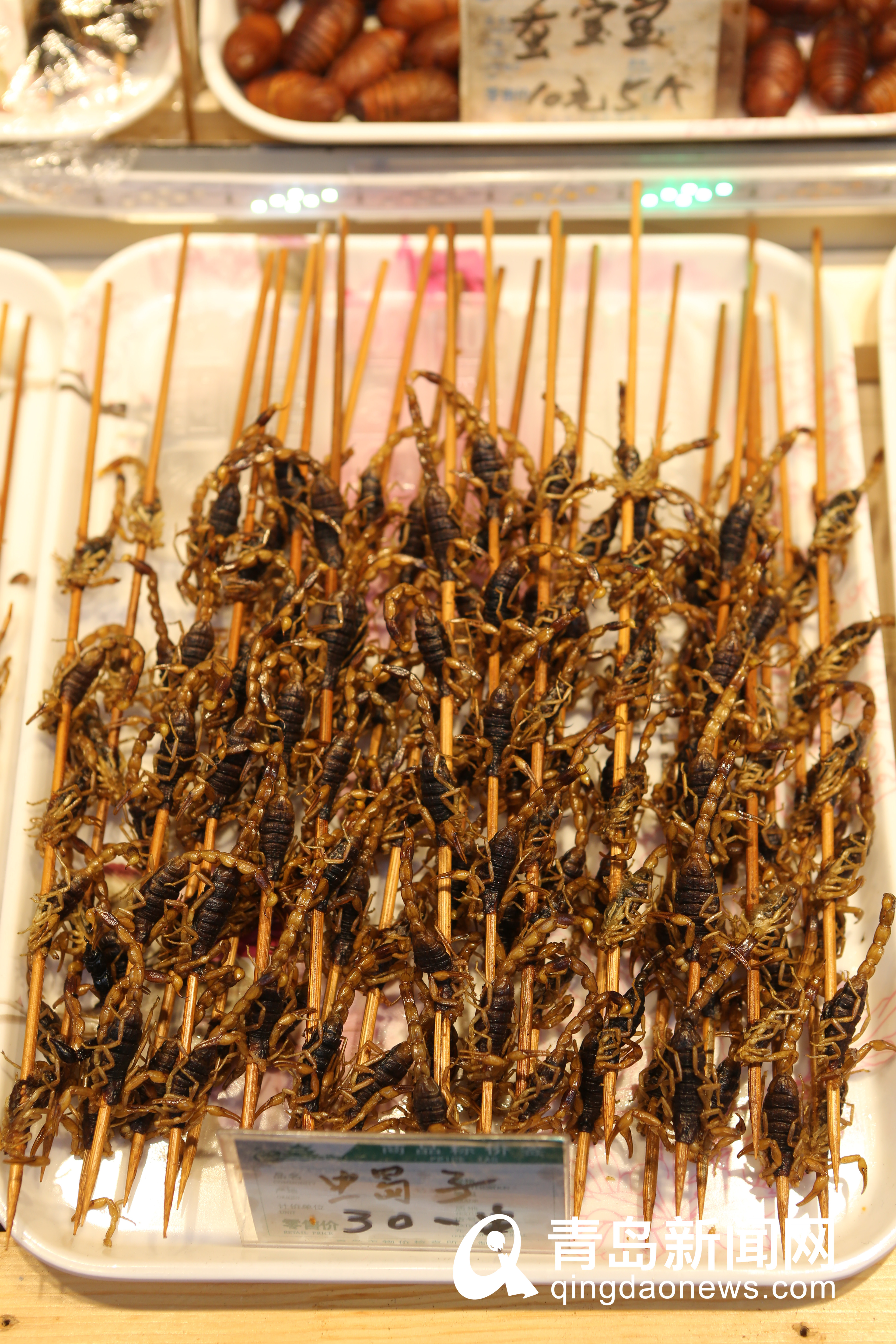 蟑螂蜈蚣蜘蛛蝎子青岛重口味虫子宴你敢吃吗