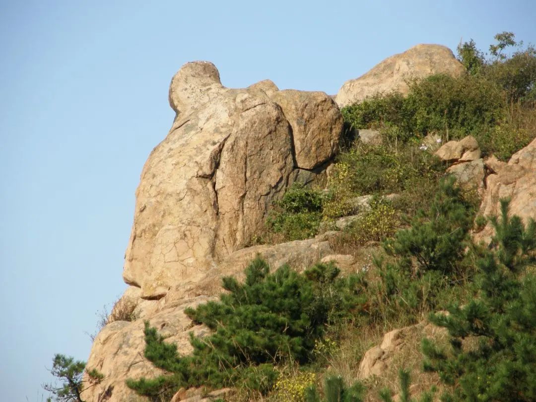 即墨区天泰温泉度假区青岛华山国际乡村俱乐部鹤山风景区西海岸新区大