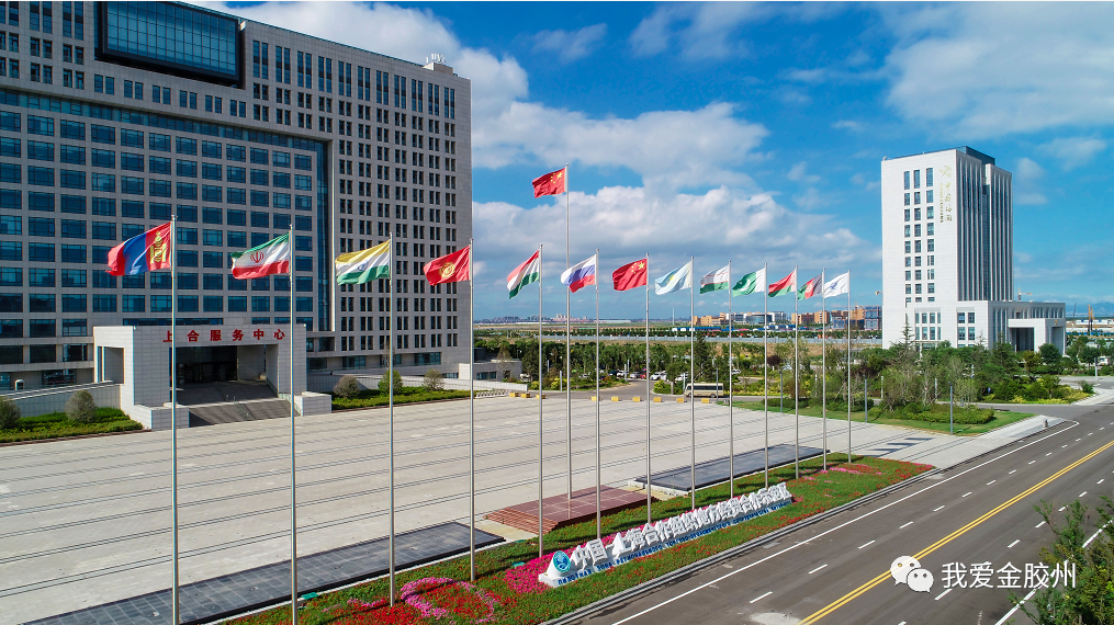 一桥飞架上合腾飞胶州上合出入口日均通车8000多