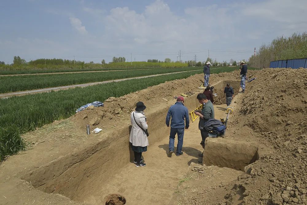 莱西西沙埠遗址考古进展 汉魏古城将重现2000年前"盛世图"