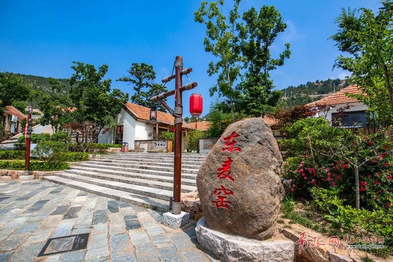 不少空置的老房子经过改造,已经成为"仙居崂山"东麦窑主体文化民宿的