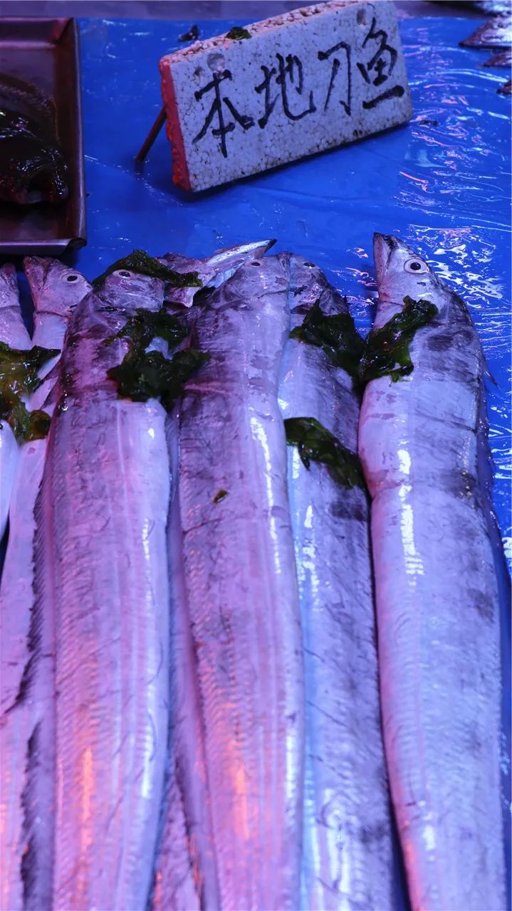 海瓜子,辣螺,海蜇爪子,蛎虾,笔管,小墨鱼,末货……一大拨鲜美的小海货