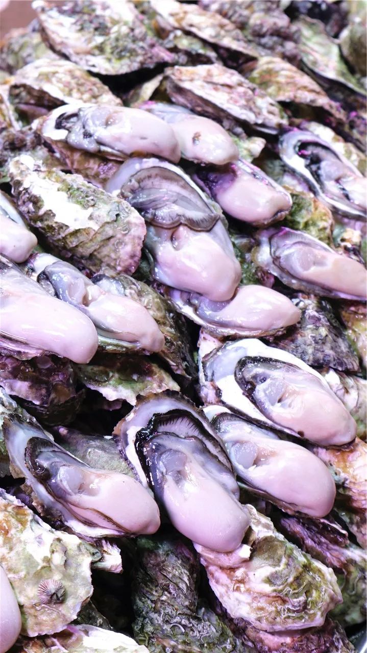 盛夏里来埠西市场买海鲜的市民络绎不绝,市场从头走到尾瞜了一圈,可供