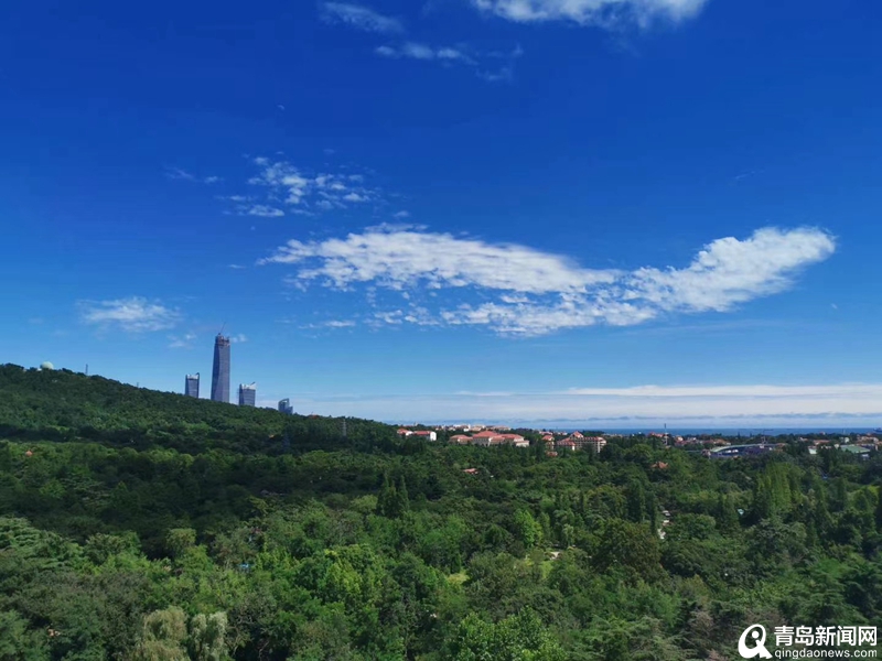 你被青岛式蓝天白云刷屏了吗?今日青岛能见度为优级