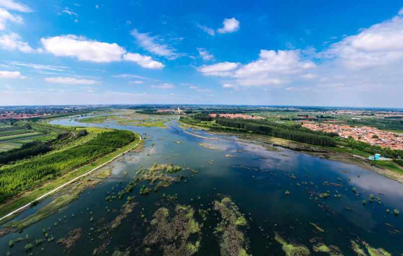水清草绿大沽河生态基流基本恢复