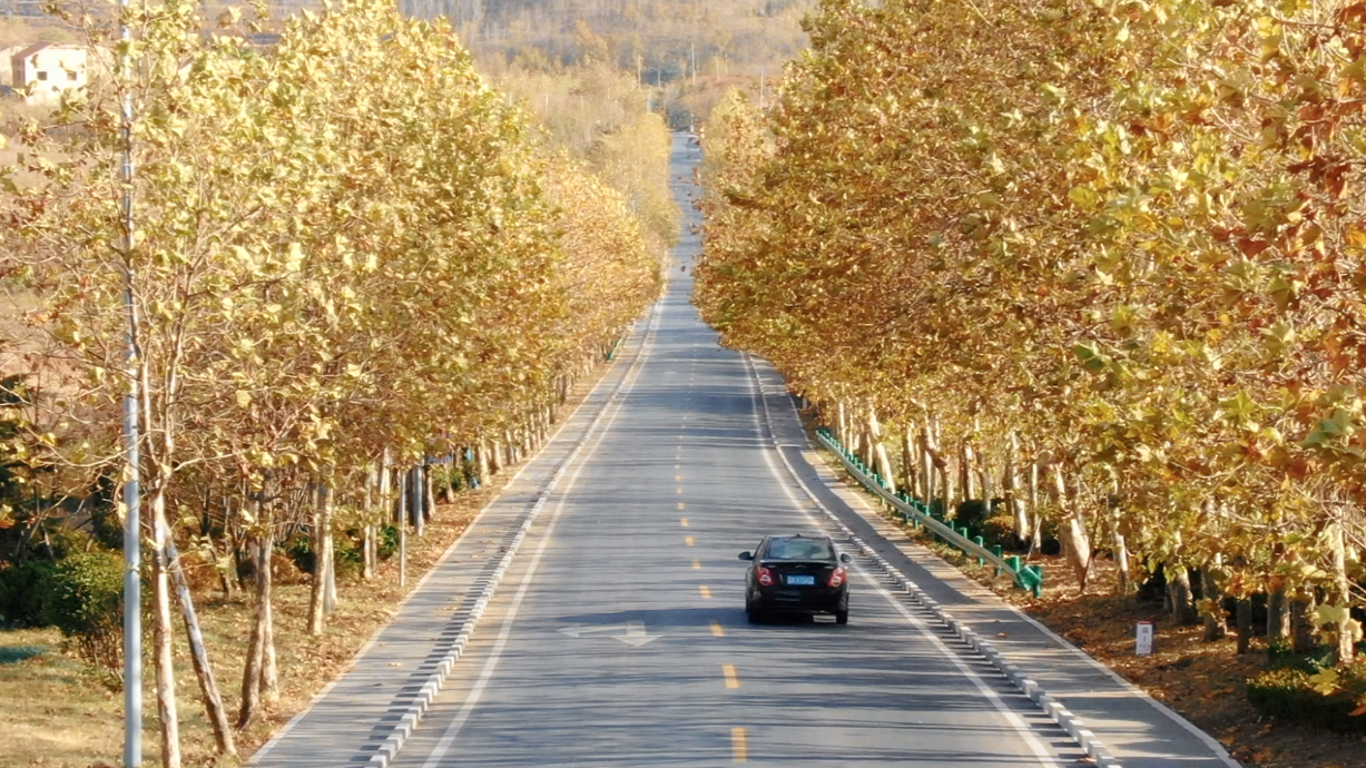 这组初冬壁纸请收好,据说错过要等一年!