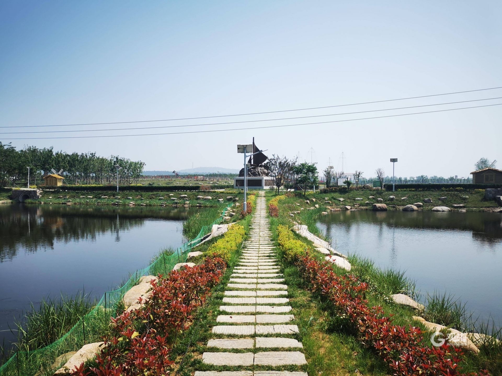 绿树成荫鸟语花香昔日垃圾成堆的废旧虾池大变身