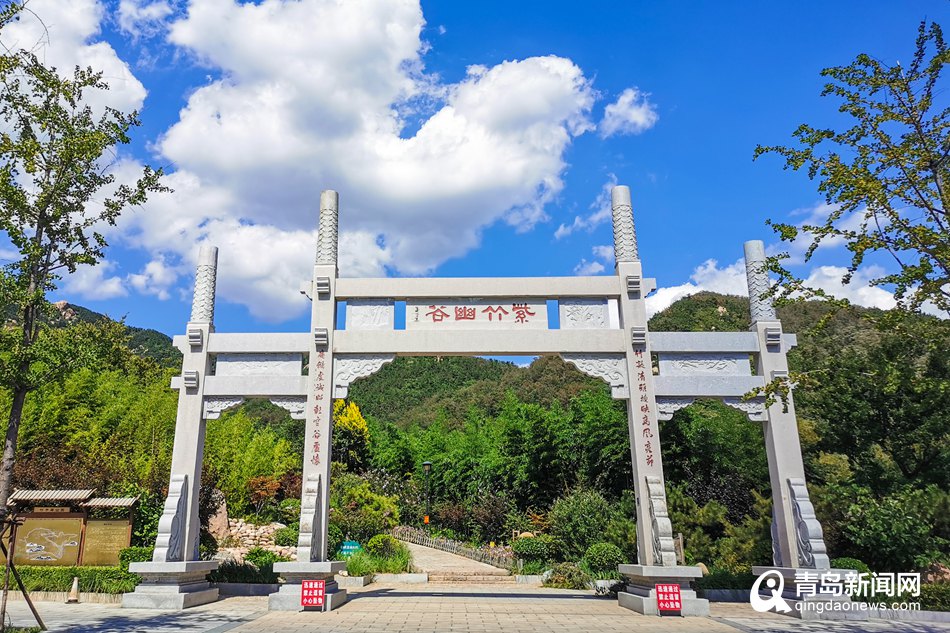打卡夏日的竹子庵公园一处毗邻闹市的世外桃源